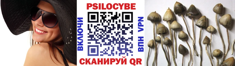 Псилоцибиновые грибы Cubensis Мыски